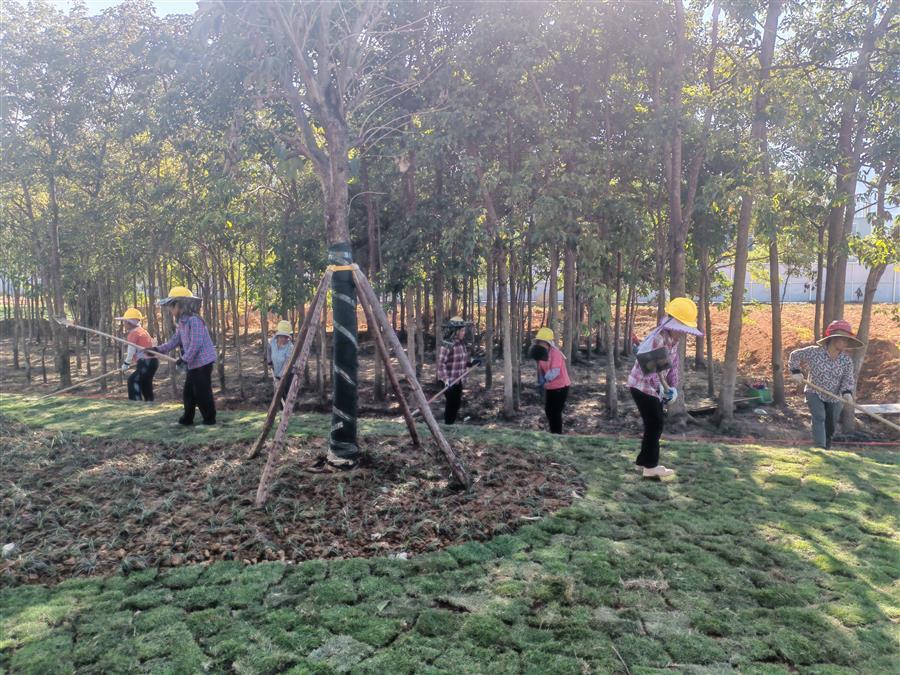 必赢(BWIN·CHINA)官方网站-中文版本